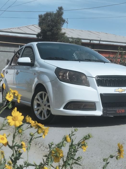 Kaptiva fason diska 15