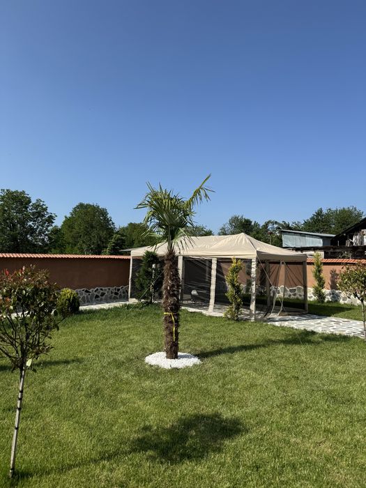 Vand gazon rulo verde