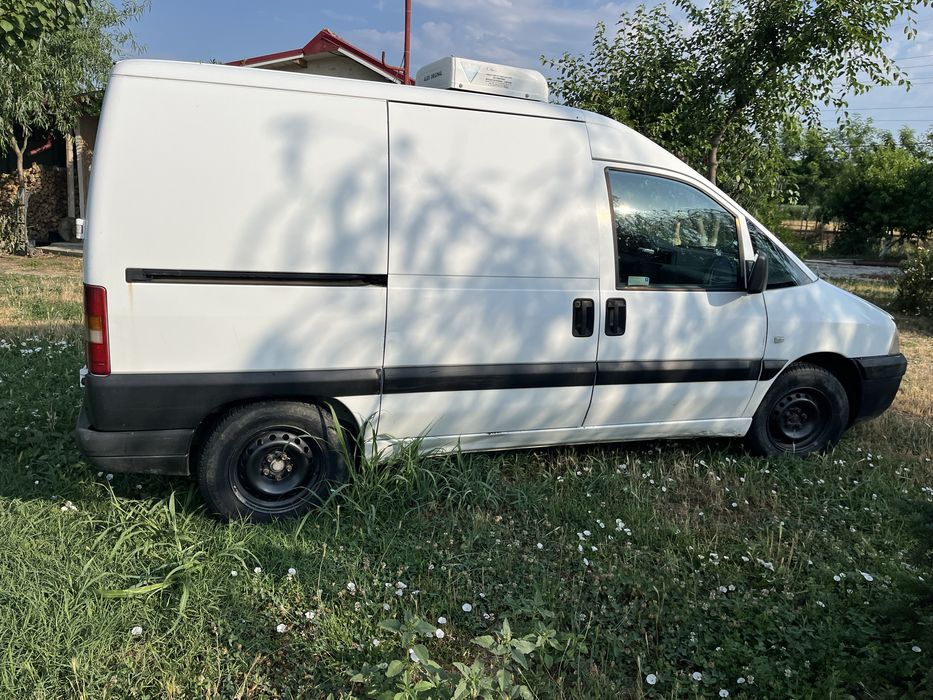 Frigorifica refrigerare