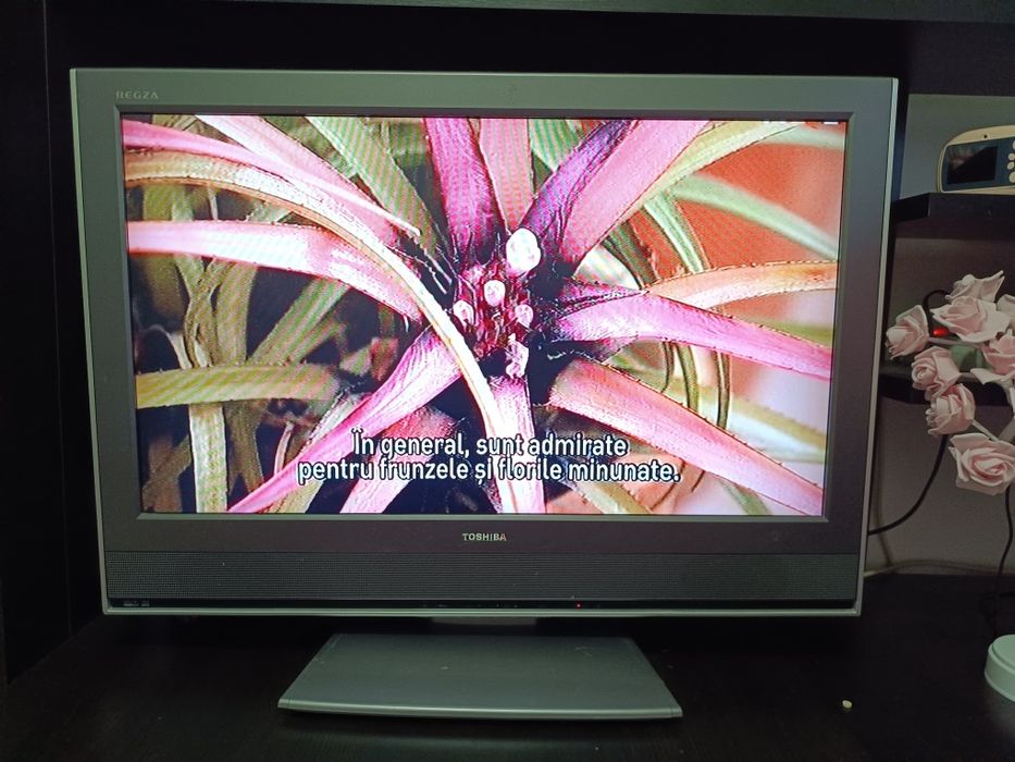 Vând televizor Toshiba D.80