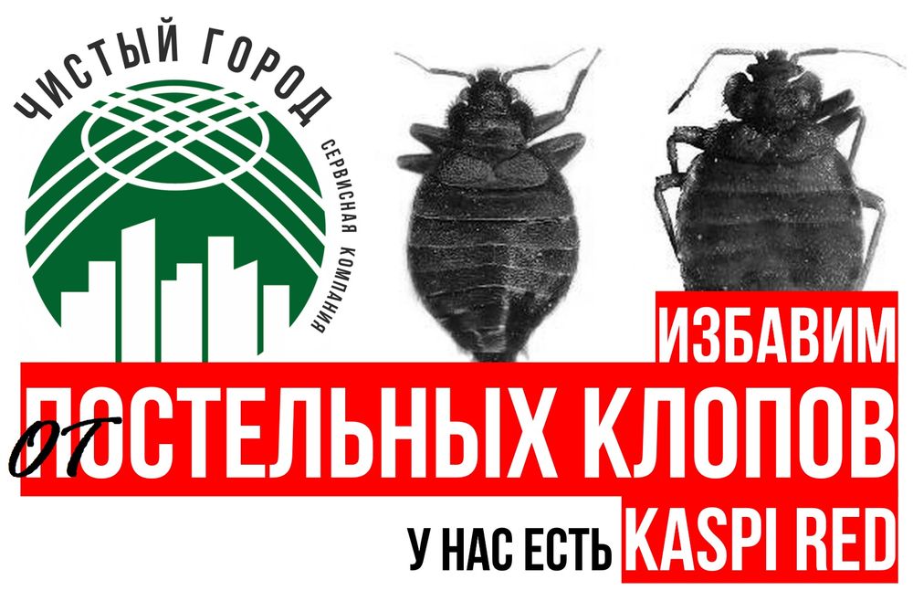 ДЕЗИНСЕКЦИЯ от тараканов по договору