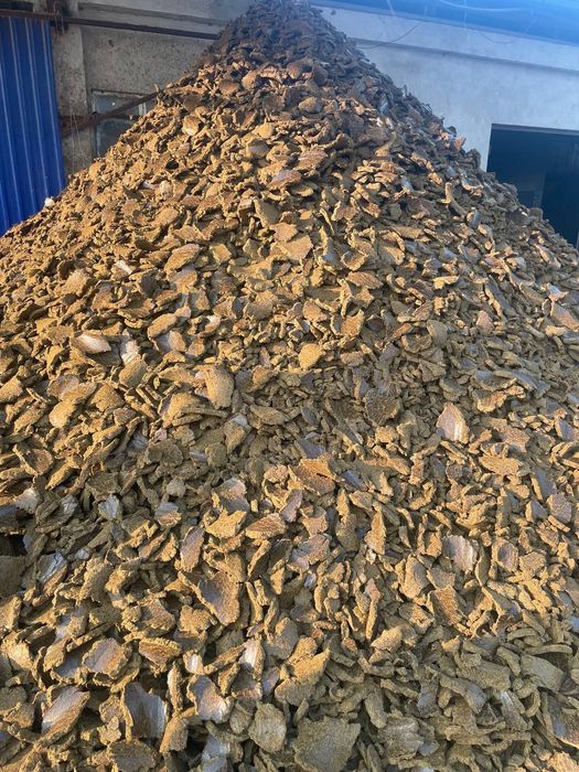 Sifatli kunjara optim narxda zavoddan 4900 soʻm