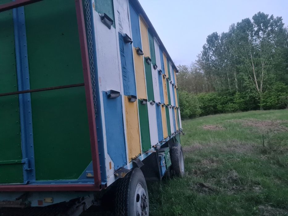 Vând pavilion apicol