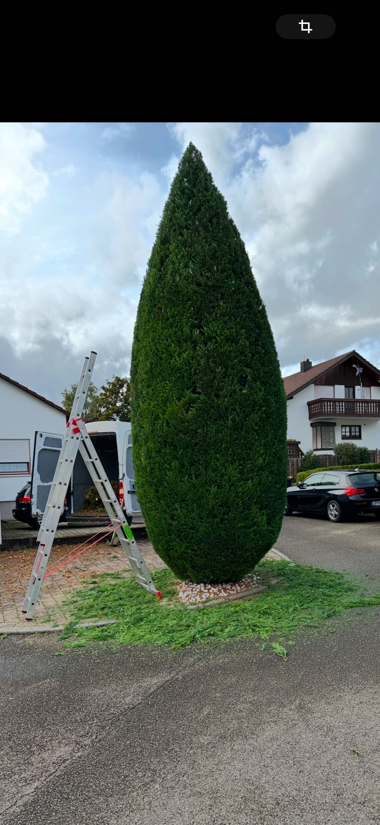 Amenajez/intretin spatii verzi, toaletez, plantez