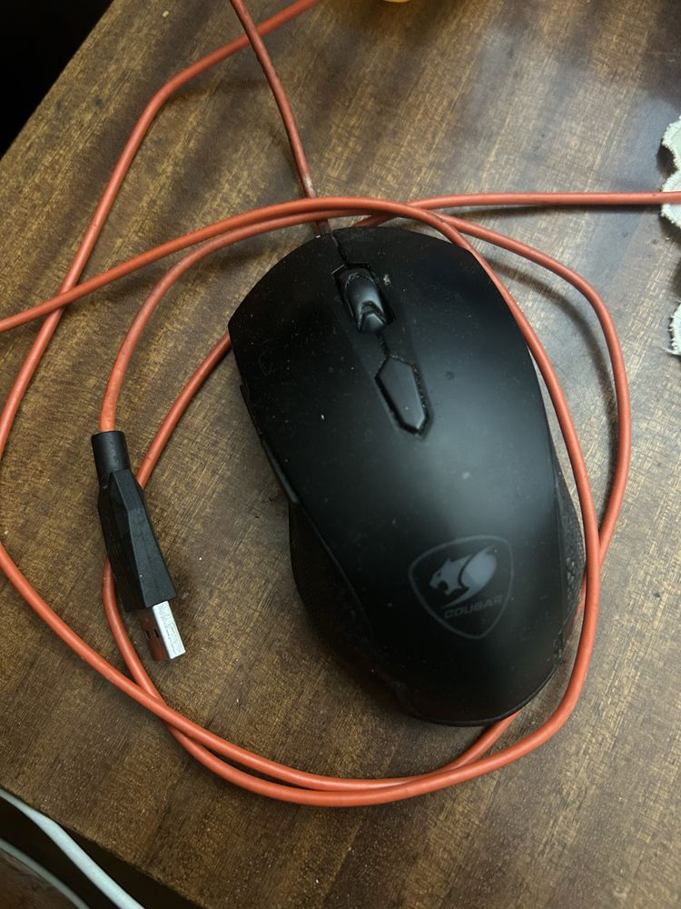 Мишка cougar