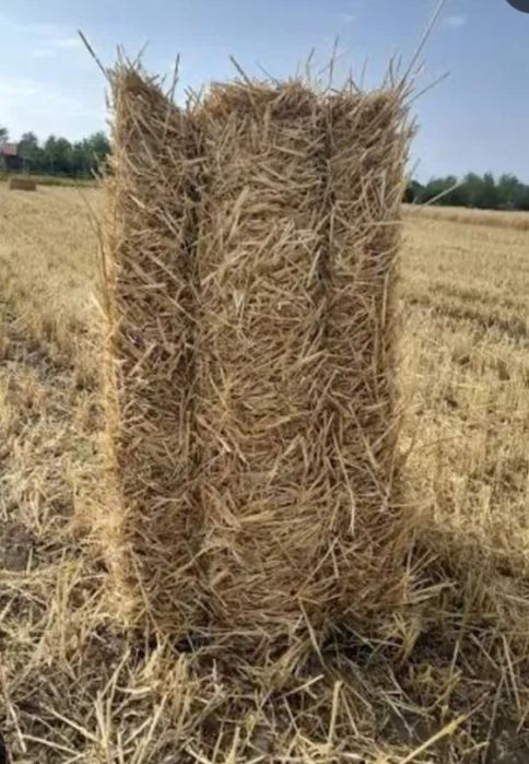 Vând baloți de paie 2025