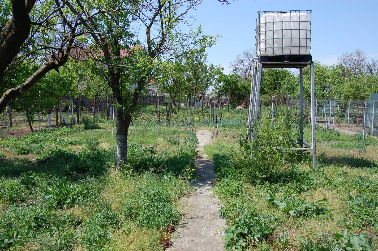 Casa De Vanzare Amara