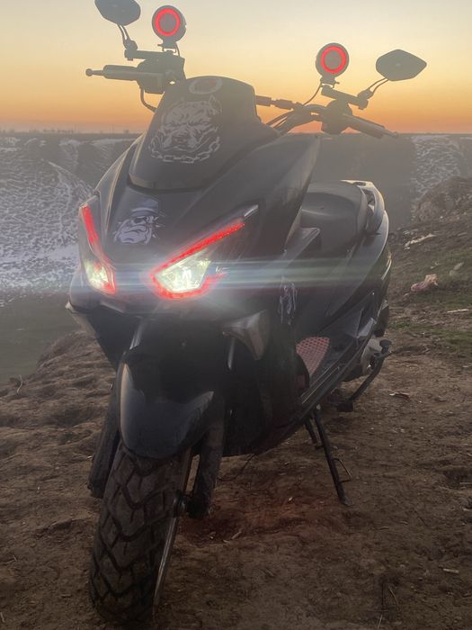 Макси спорт