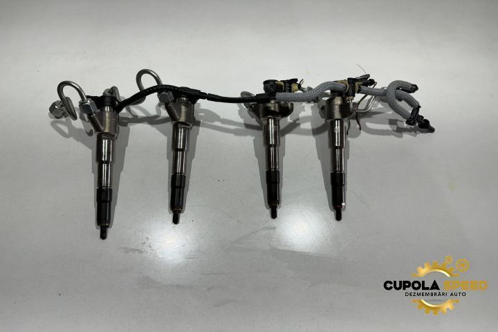 Injector Injectoare 2.3DCI  166009567R Renault Master 3 [2st facelift