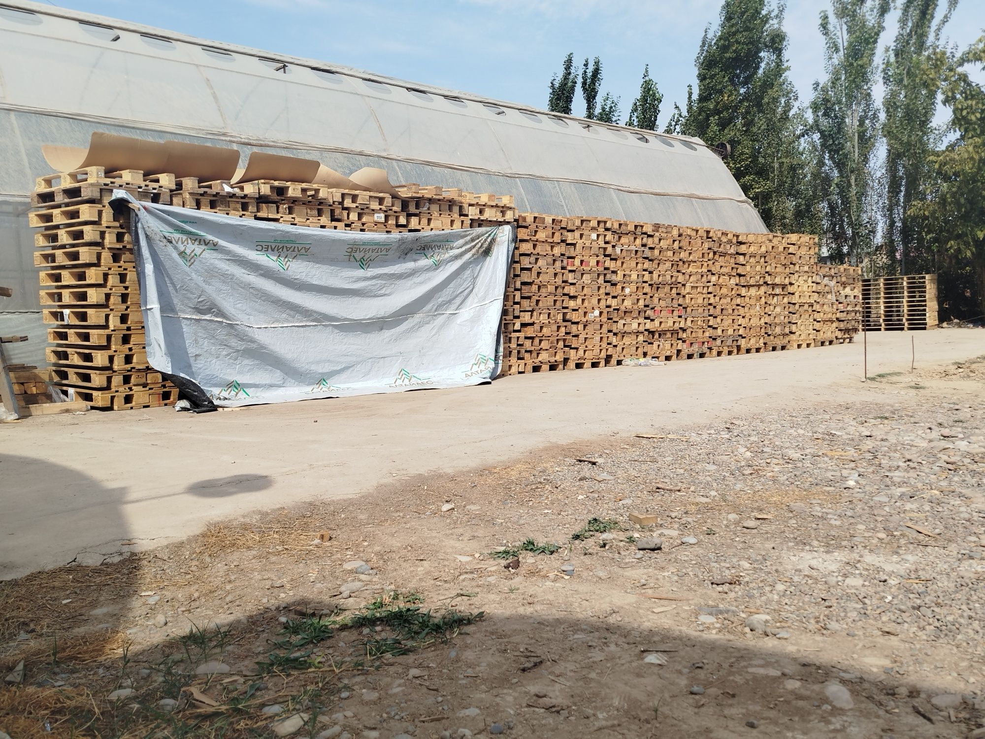 Paddon EPAL holati zor
