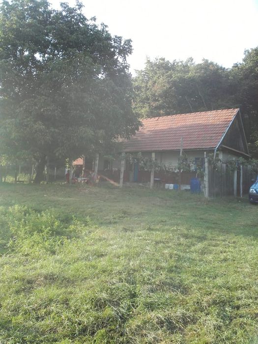 Casa și teren Vingard Alba