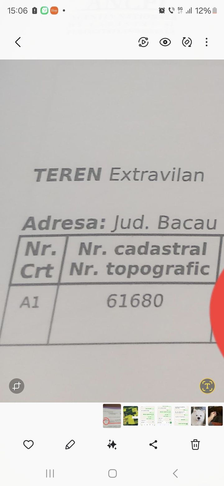 Teren  extravilan Dumbrava  Itesti Bacau
