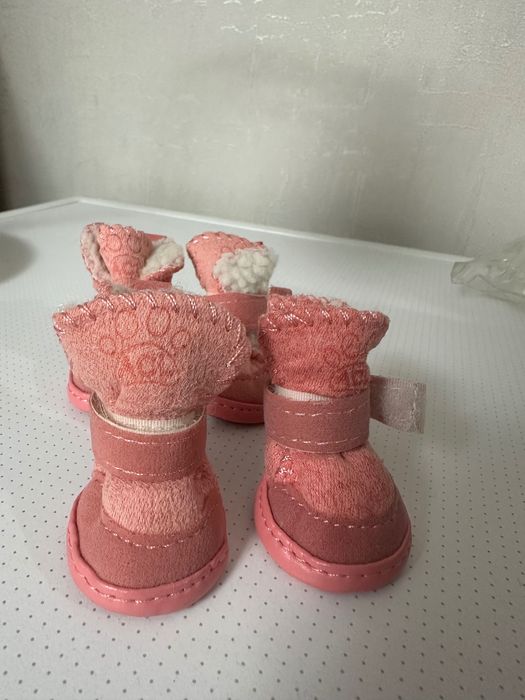 Обувь для маленькой собачки