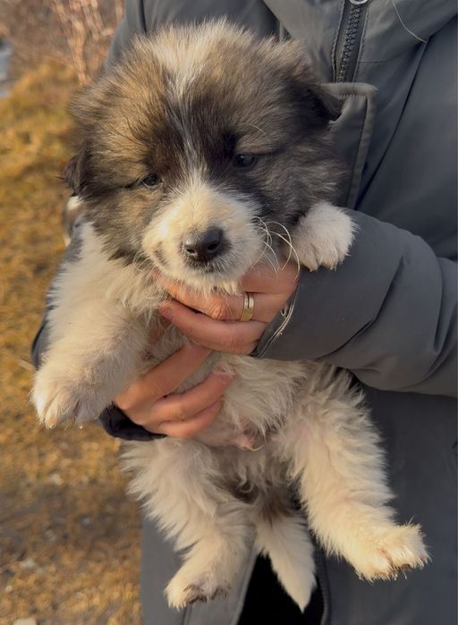 Мальчики девочки ишут дом