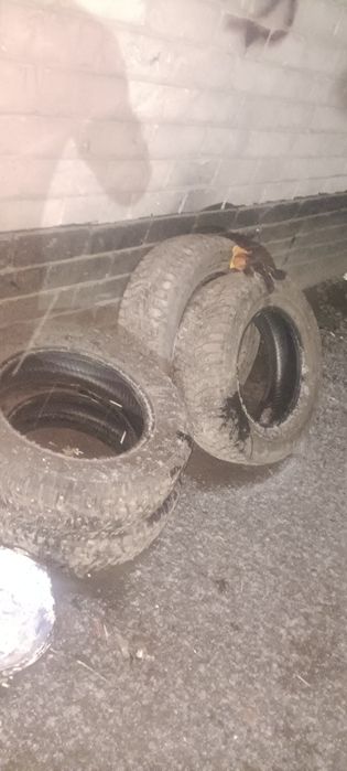 Продам шины фирмы sayung