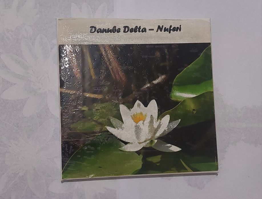 Tablou Canvas - Nufar