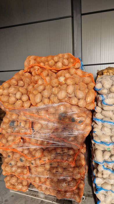 Ceapa Cartofi pere mere morcov import