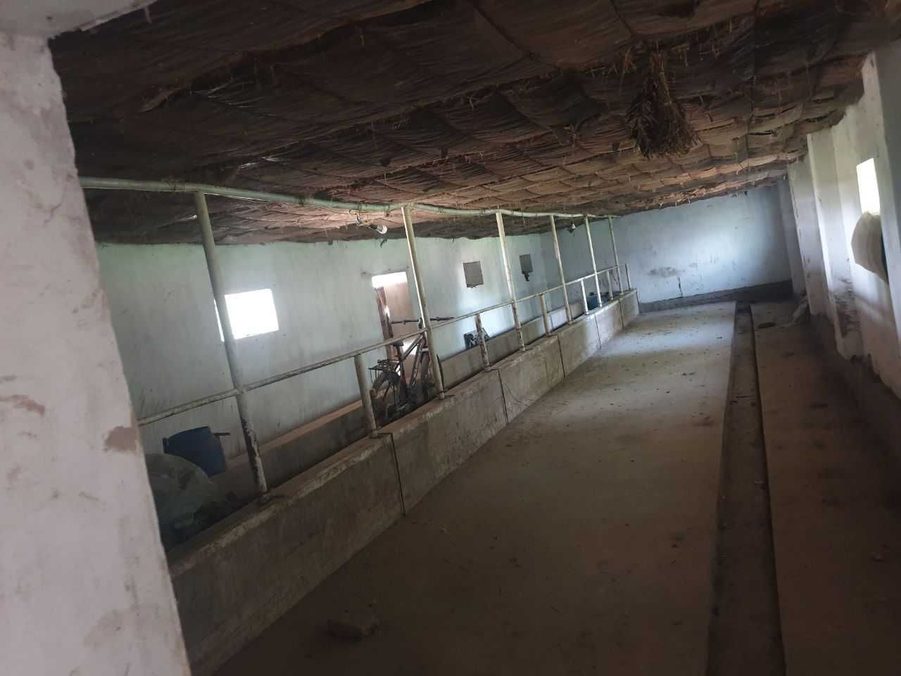 Sayxunobod tumanida molxona binosi bolib tolash sharti bilan sotiladi