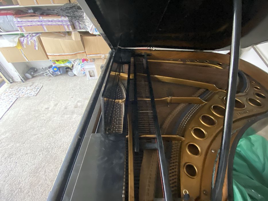 Pian Frantz Wirth placa bronz