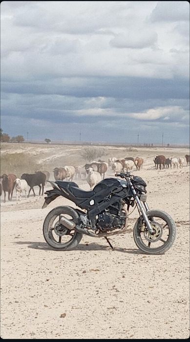 Reiser Skyway 250RR