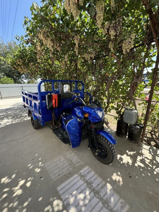 Demansh Muravey 200 motor zavodskoy Cho'nkarak yangidek