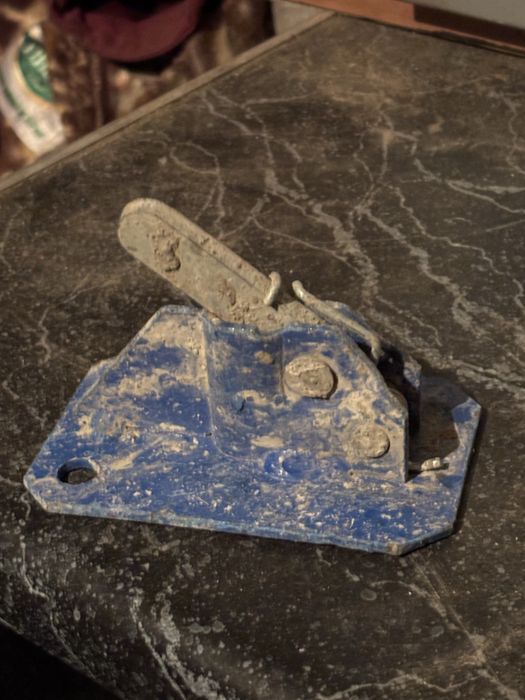 Чайрозы в хорошем состоянии