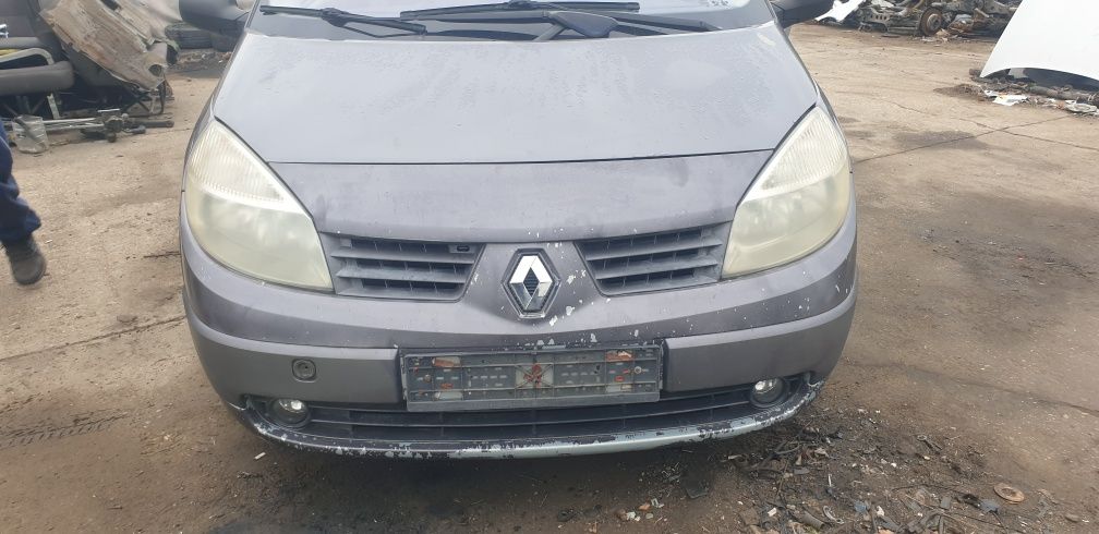Parbriz, far, capota, aripa,bara fata/spate,usa,haion Renault Scenic 2
