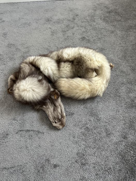 Blana vulpe argintie