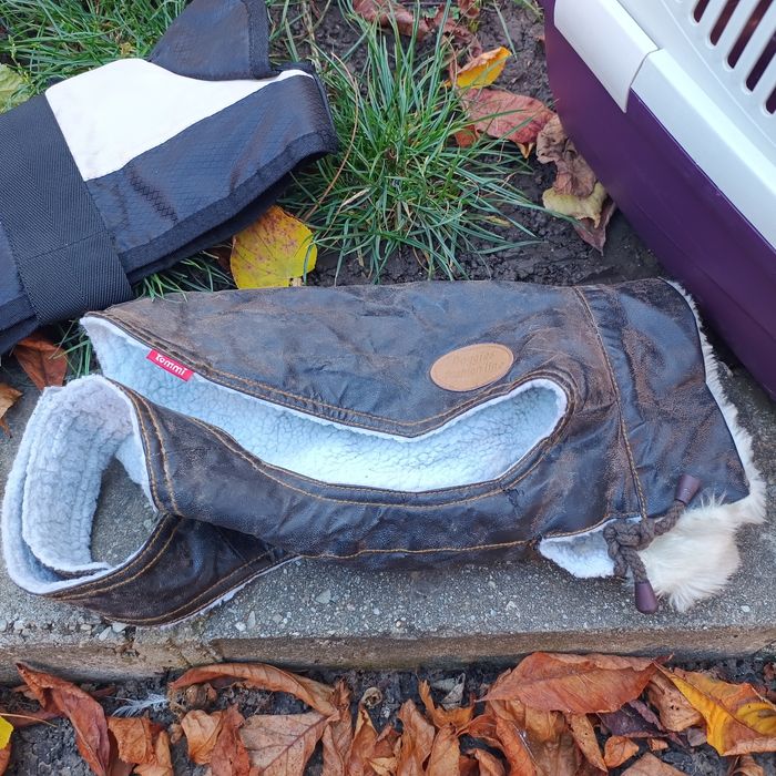 Pachet cusca transport, haine caine talie mica si ham