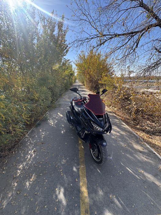 Wasat sport akula 150 kub