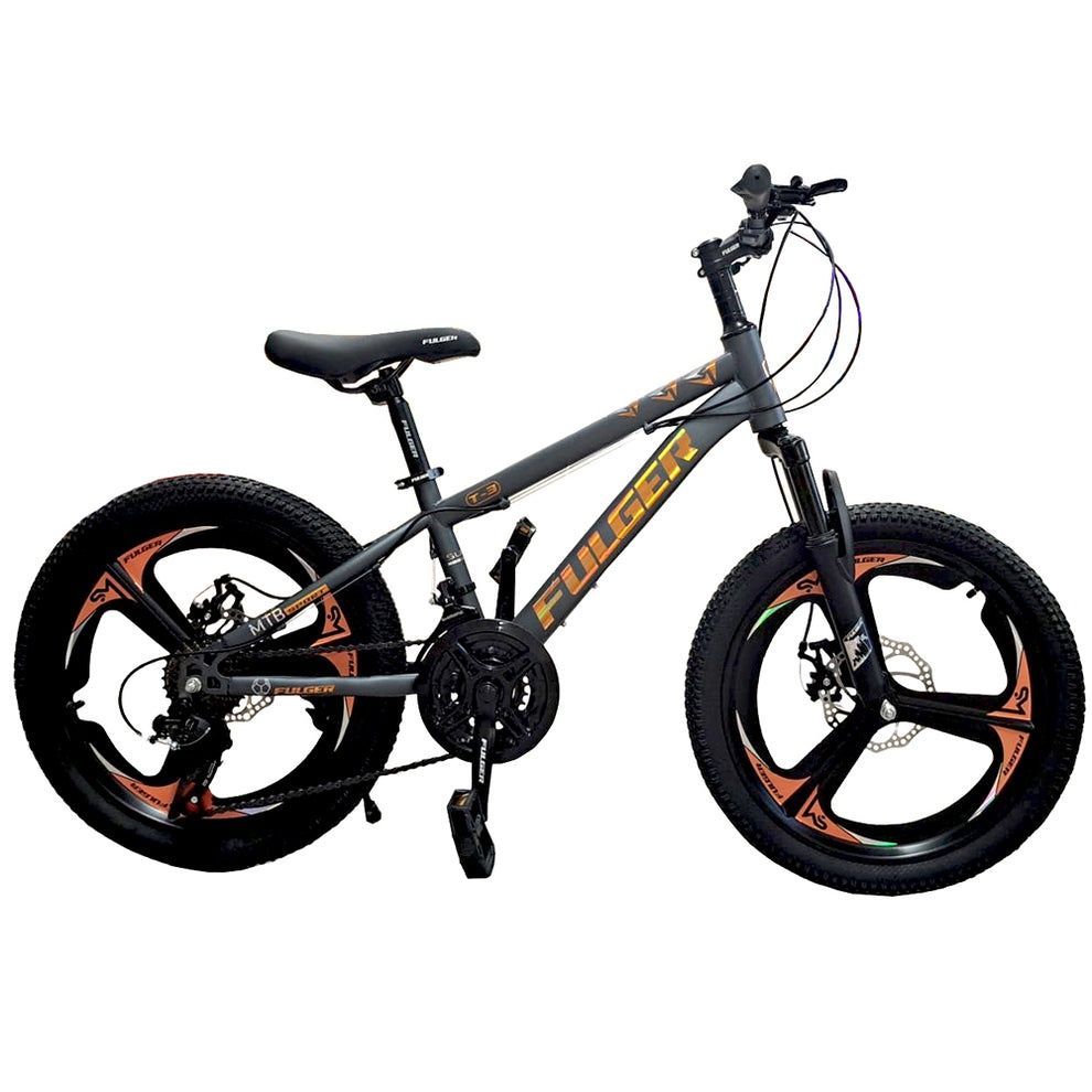 Bicicleta 20 inch din otel, pentru copii intre 6 si 12 ani, 20T