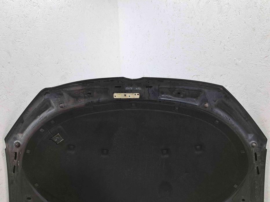 Capota motor Volkswagen Passat B7 (362) [Fabr 2010-2014]
