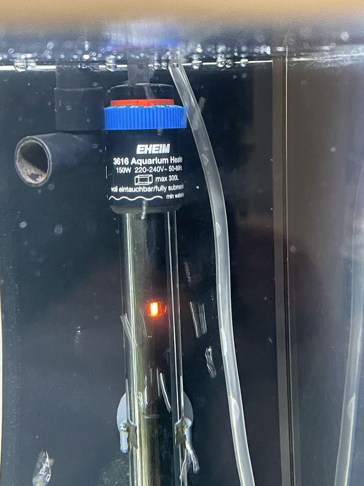 Аквариум Eheim Viva Led 180