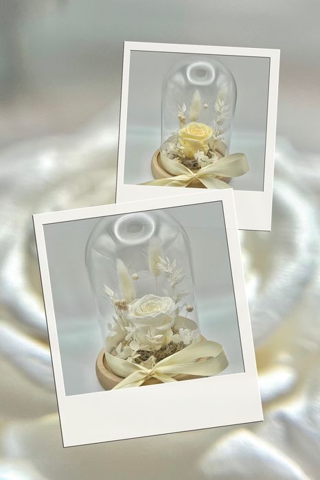 Trandafir criogenat in cupola