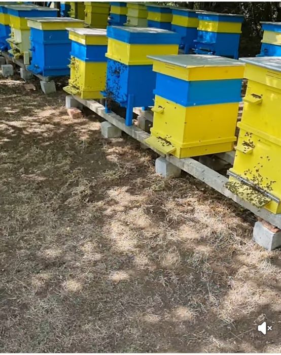 Пчелен Мед Букет 100% натурален