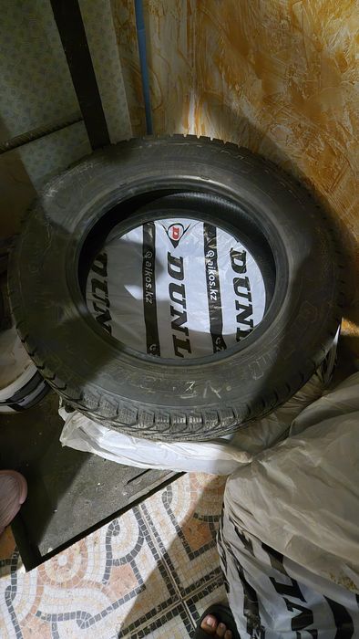 Шины зимние Cordiant R17