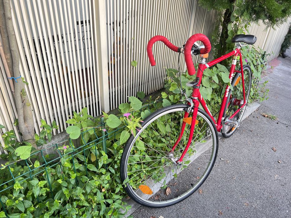 Fixie dintr o cursiera Winora