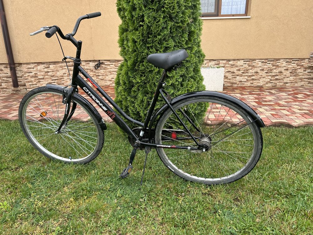 Bicicleta adulti