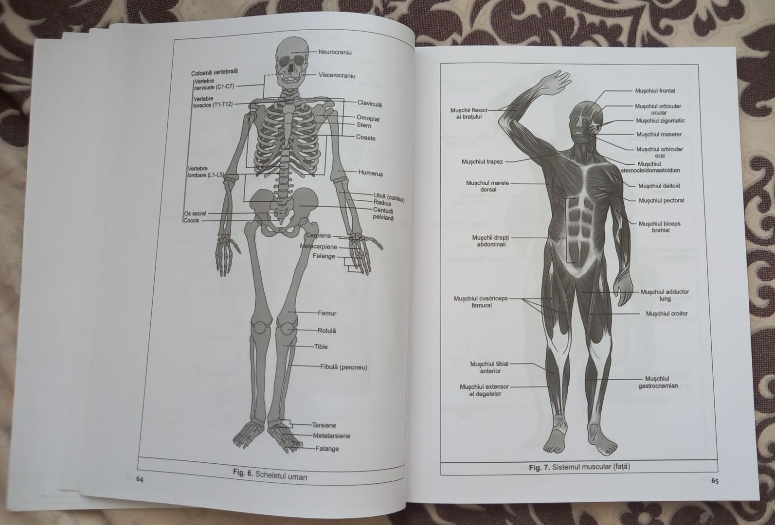 Culegere de biologie cu teste pentru bacalaureat, 2020