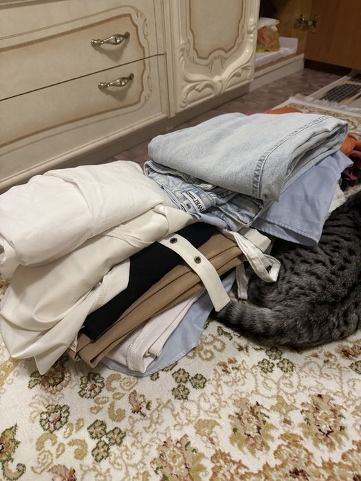 Отдам все вещи, что на фото