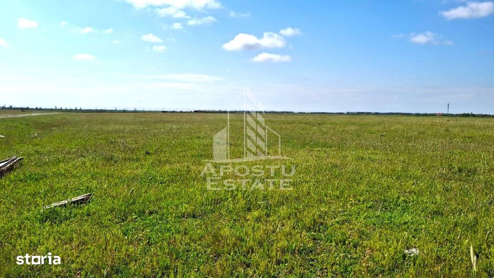 Teren Intravilan cu PUZ, ideala pentru Dezvoltatori