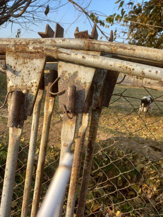 Тайор ферма сотилади теплицаники