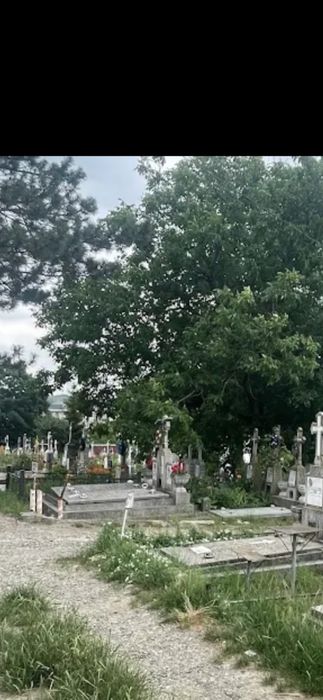 Pf vand loc de veci Sf treime păcurari.