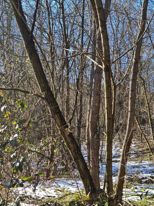 Teren intravilan de vanzare in Baia de Aramă
