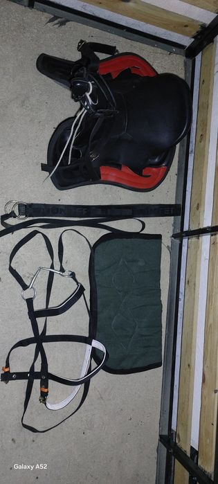 Ер тоқым сатылады