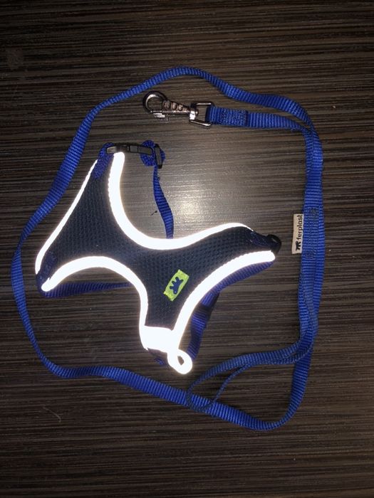 Каишка и повод за куче