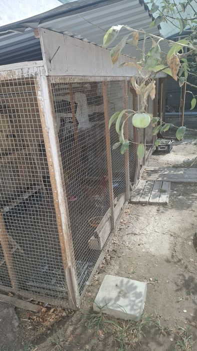 Продам большой вальер для цыплят