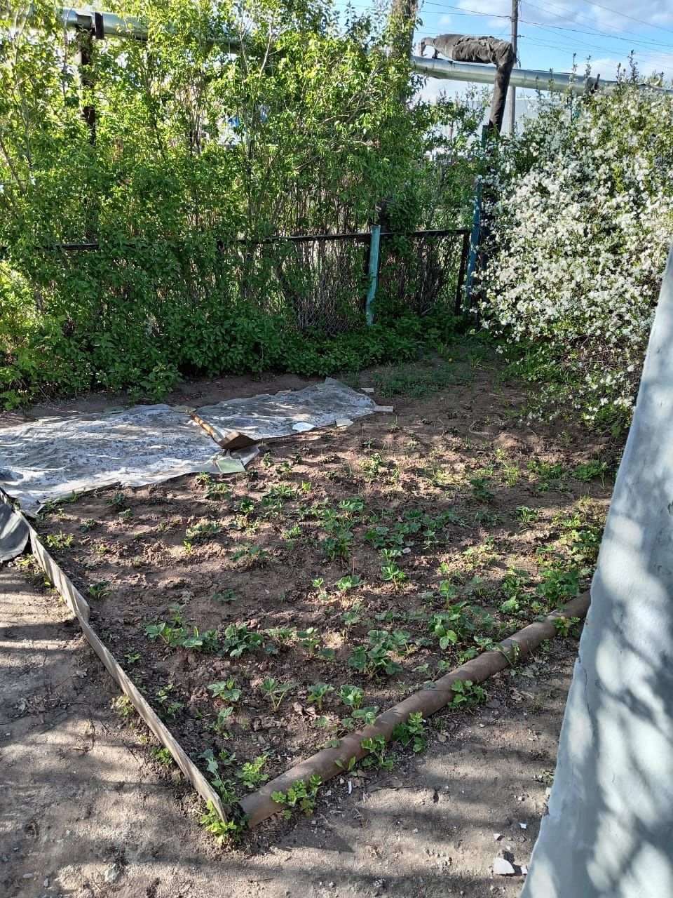 Продается дом в Топаре