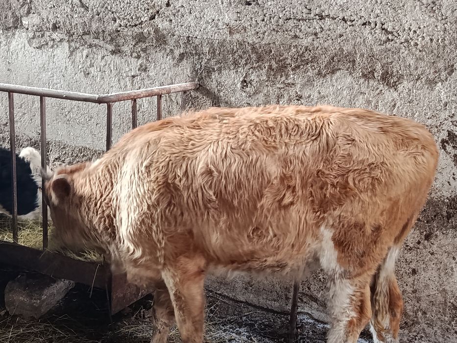 Продается продается