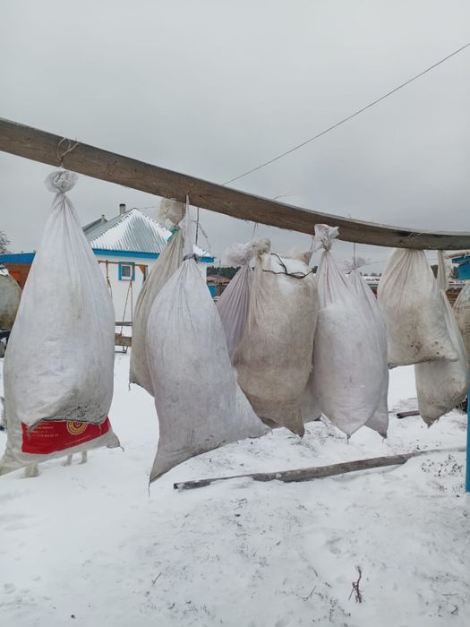 Продается пух гусиный